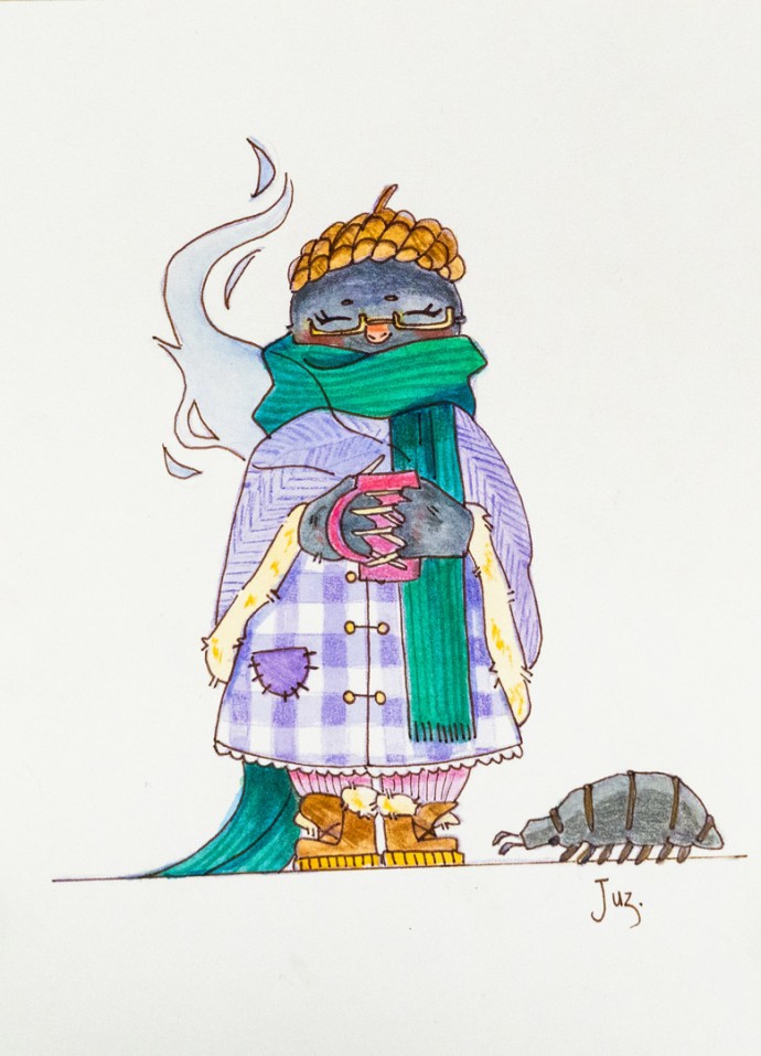 studiom-rennes-creation-graphique-jumpers