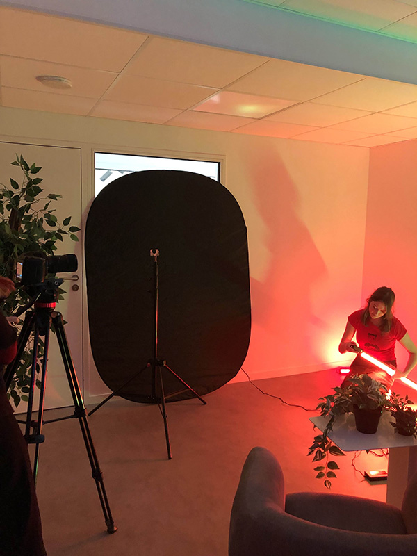 etudiant-bts-neon-stm-rennes