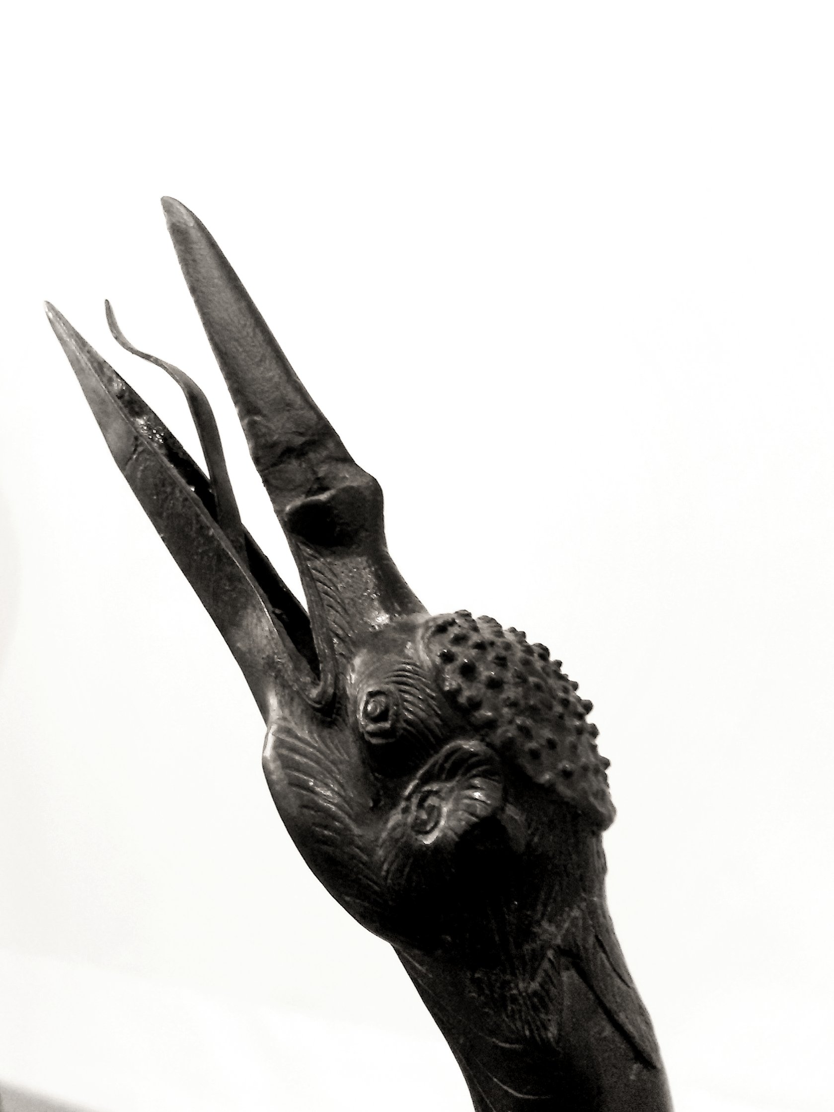 Visite du Musée Georges-Labit 