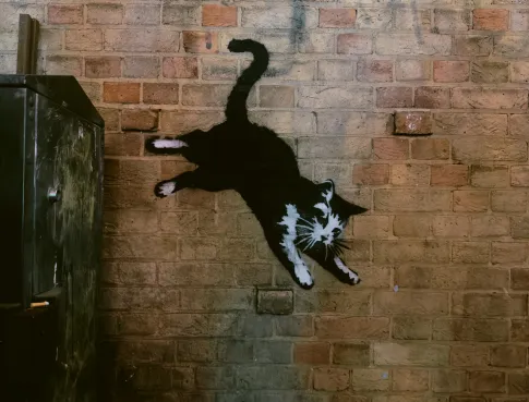 Banksy-manaa-studio-m-vannes-(1)