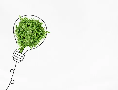 Éco-design : nouvelle exigence dans les formations créatives