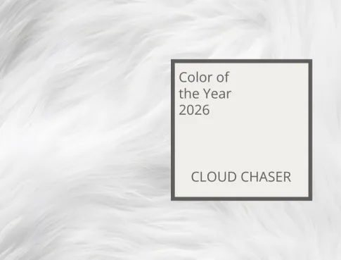 Couleur de l'ann&eacute;e 2026 : Pantone d&eacute;voile "Cloud Dancer"