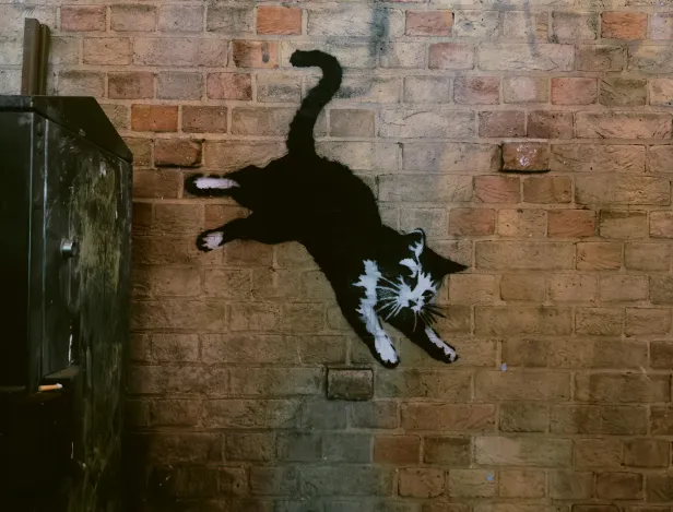 Banksy-manaa-studio-m-vannes-(1)