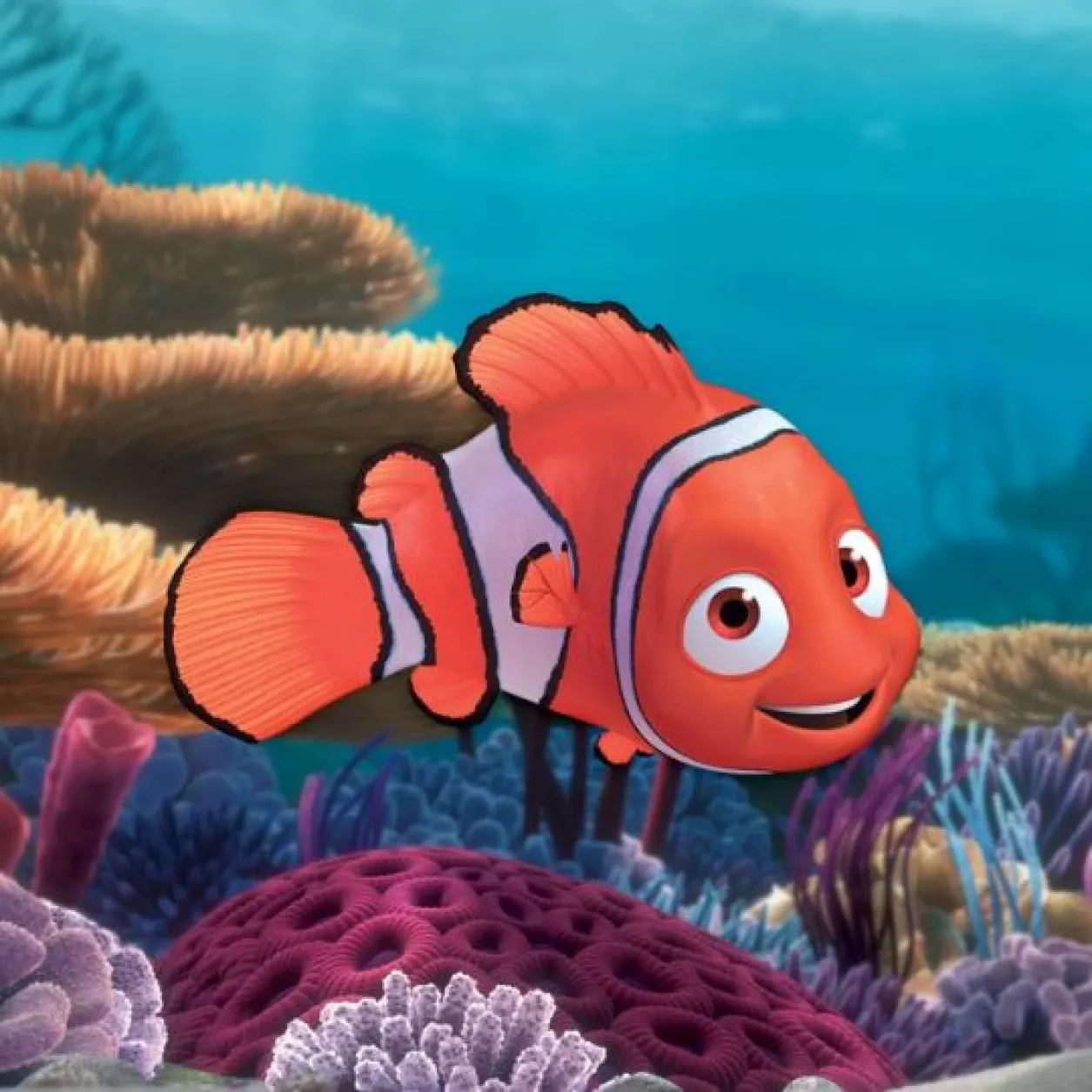Le Monde de Marlin Nemo Le-Monde-de-Marlin