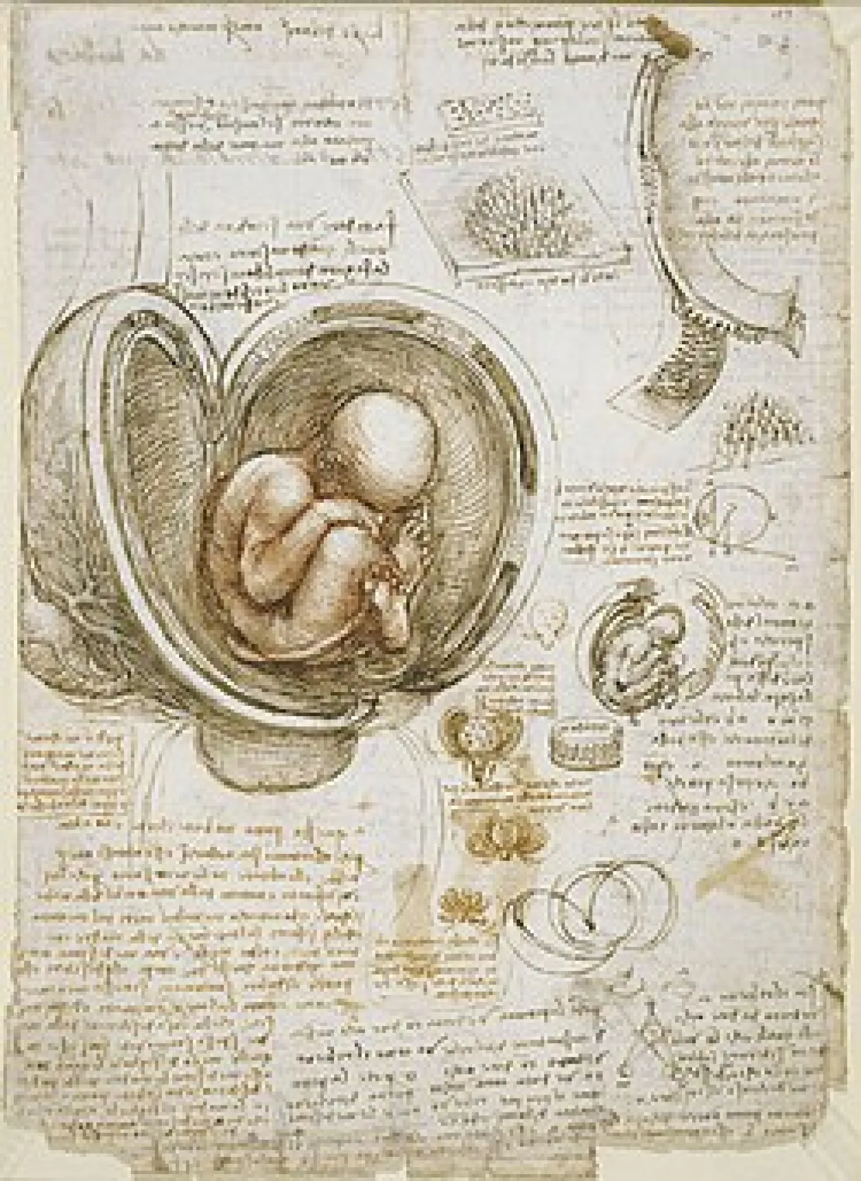 croquis-leonard-de-vinci-studiom-rennes