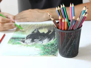 &eacute;cole-d'art-toulouse