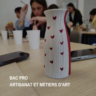 formation-bac-pro-ama